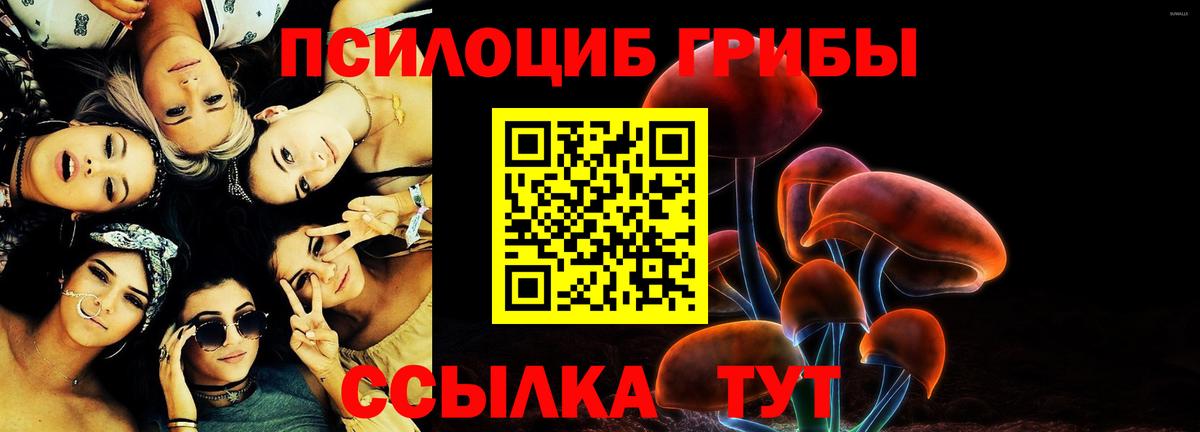 Борзя  Галлюциногенные грибы ЛСД  Вход с VPN 
