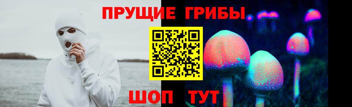 Галлюциногенные грибы MAGIC MUSHROOMS Борзя